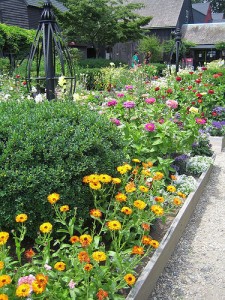 raised garden bed with perennial flowers