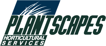 Plantscapes
